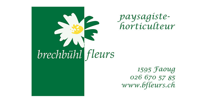 04_Brechbuehl-Fleurs